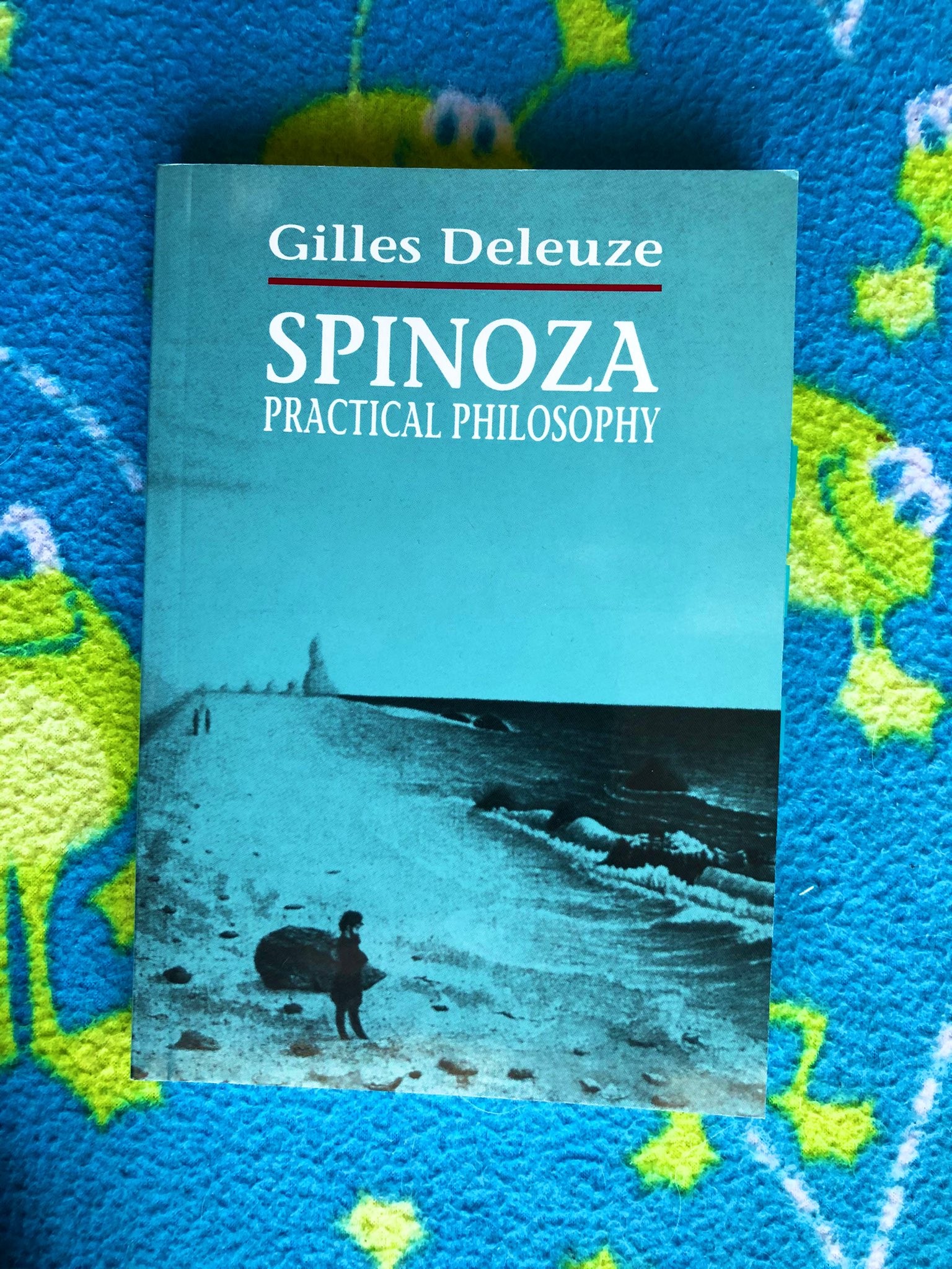 Spinoza, Practical Philosophy