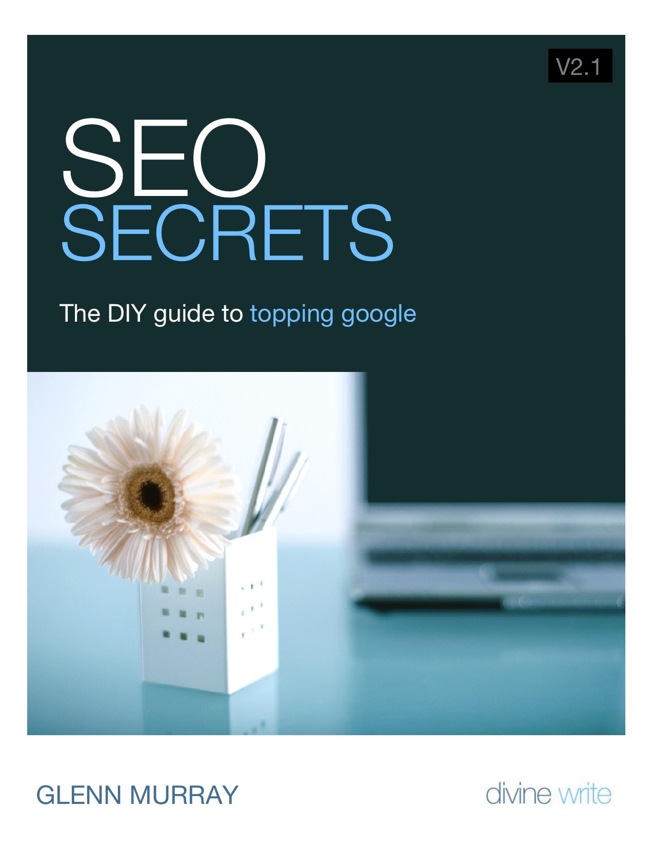SEO Secrets The DIY guide to topping google