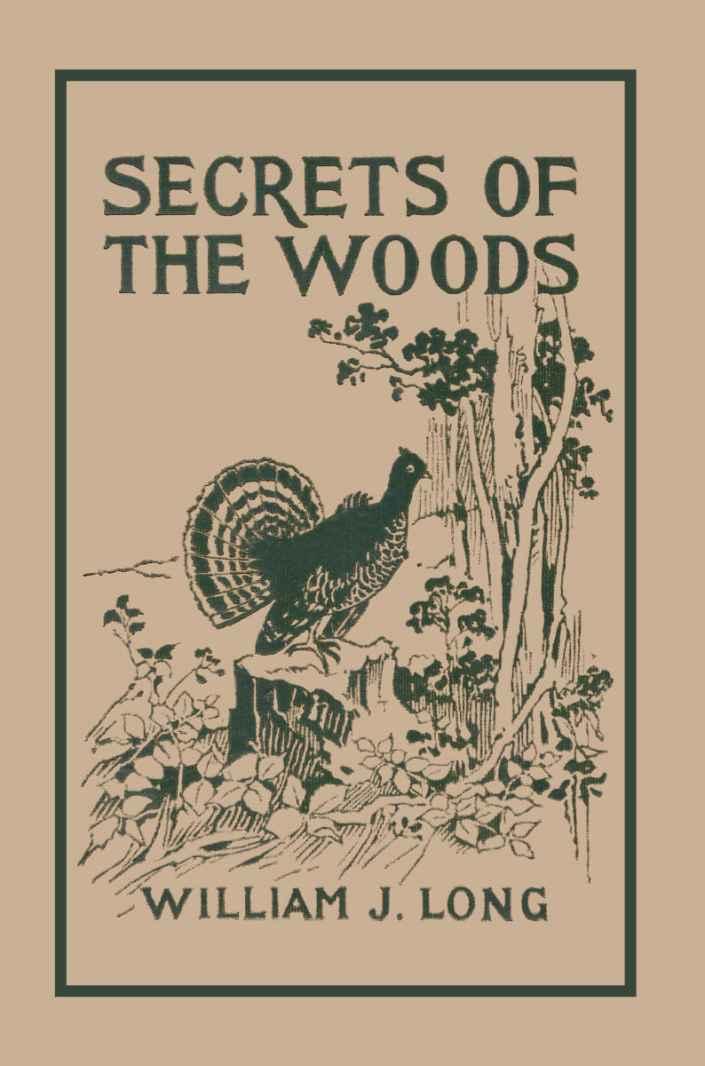 Secrets of the Woods (Yesterday's Classics)