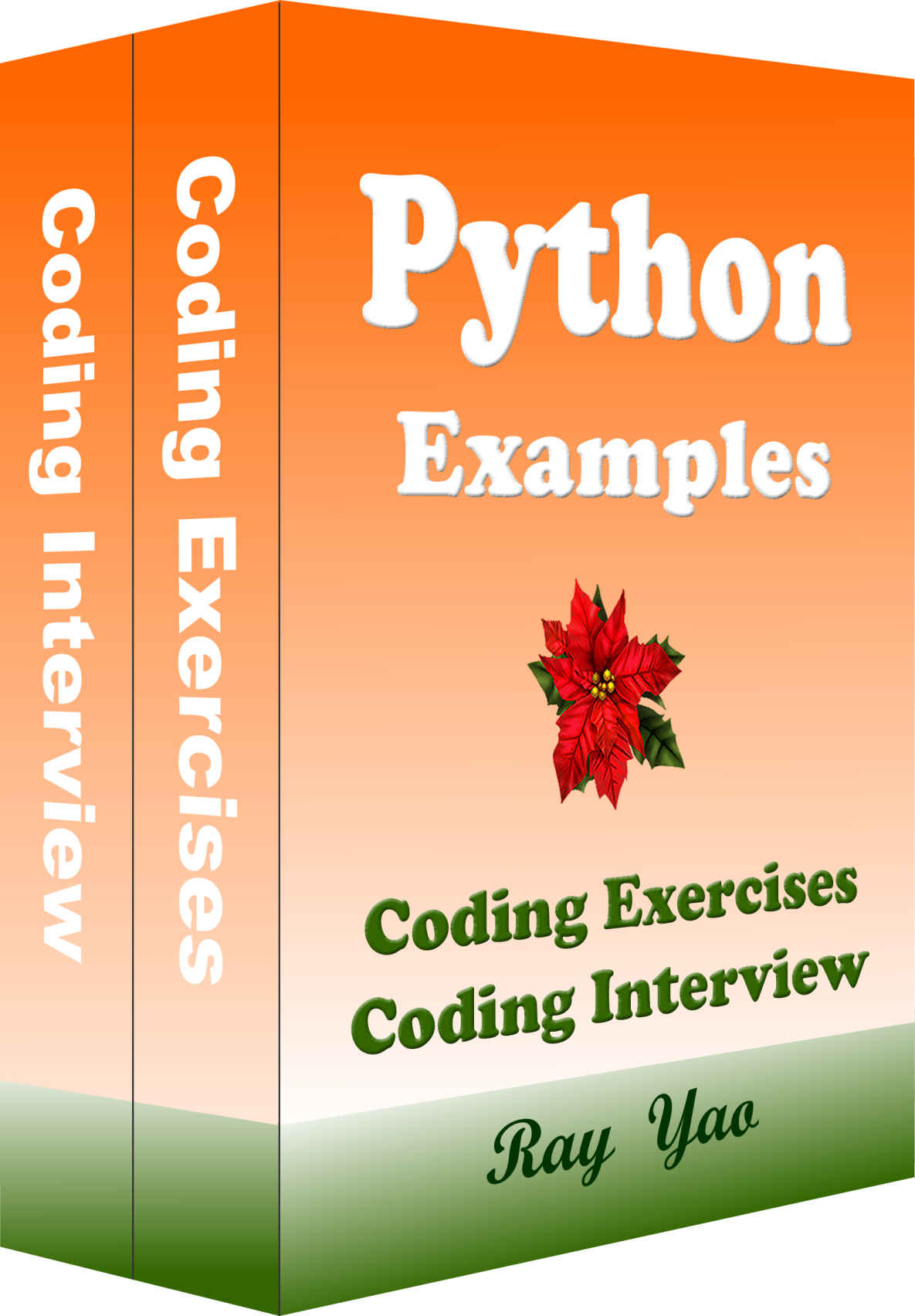 Python Examples: Coding Exercises, Coding Interview