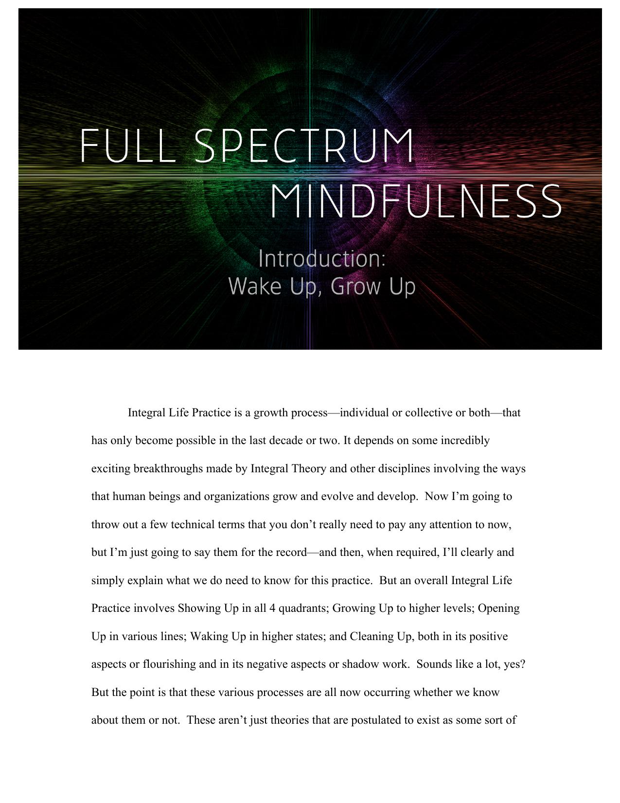 Full Spectrum Mindfulness - Essay