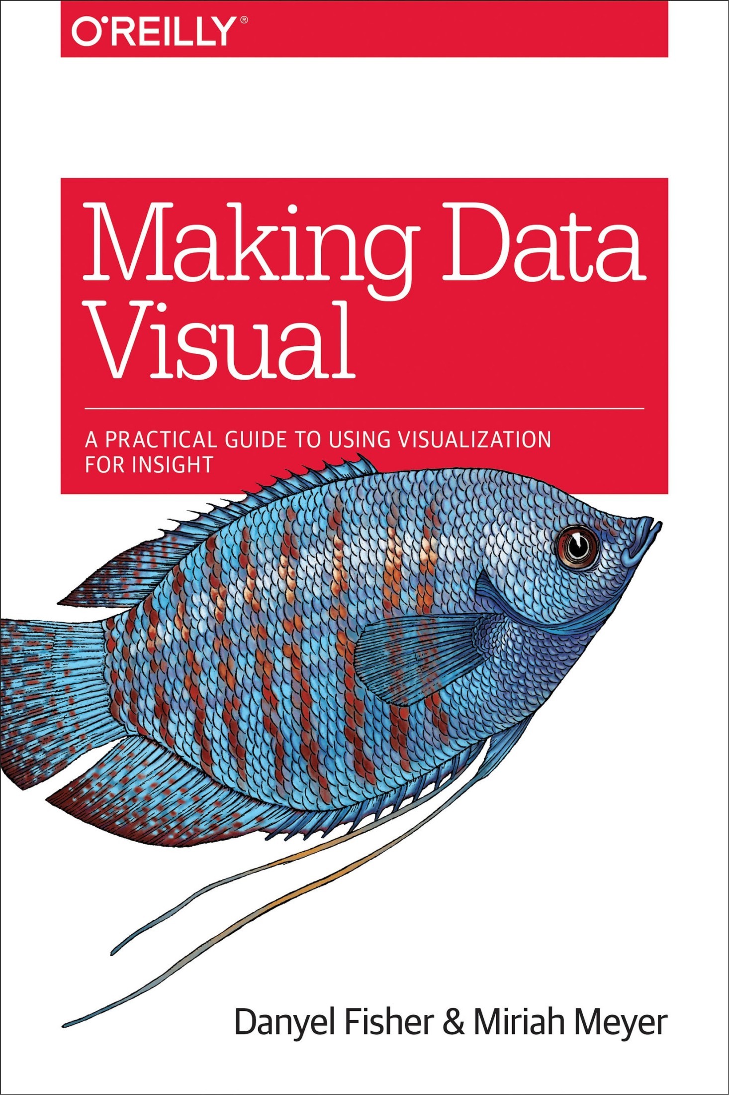 Making Data Visual: A Practical Guide to using Visualization for Insight