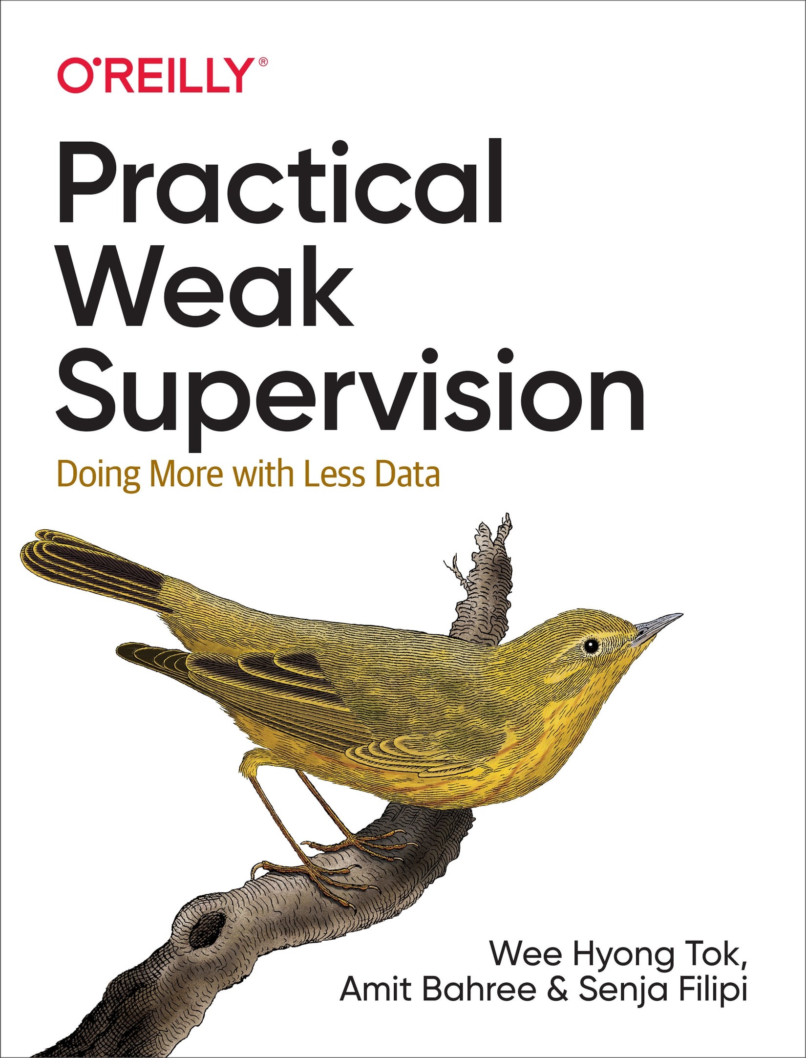 Weakly Supervised Learning: Doing More With Less Data