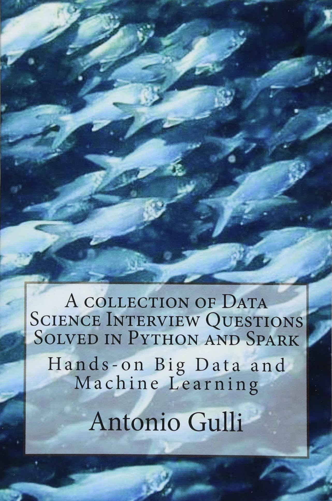 A Collection of Data Science Interview Questions Solved in Python and Spark: Hands-On Big Data and Machine Learning