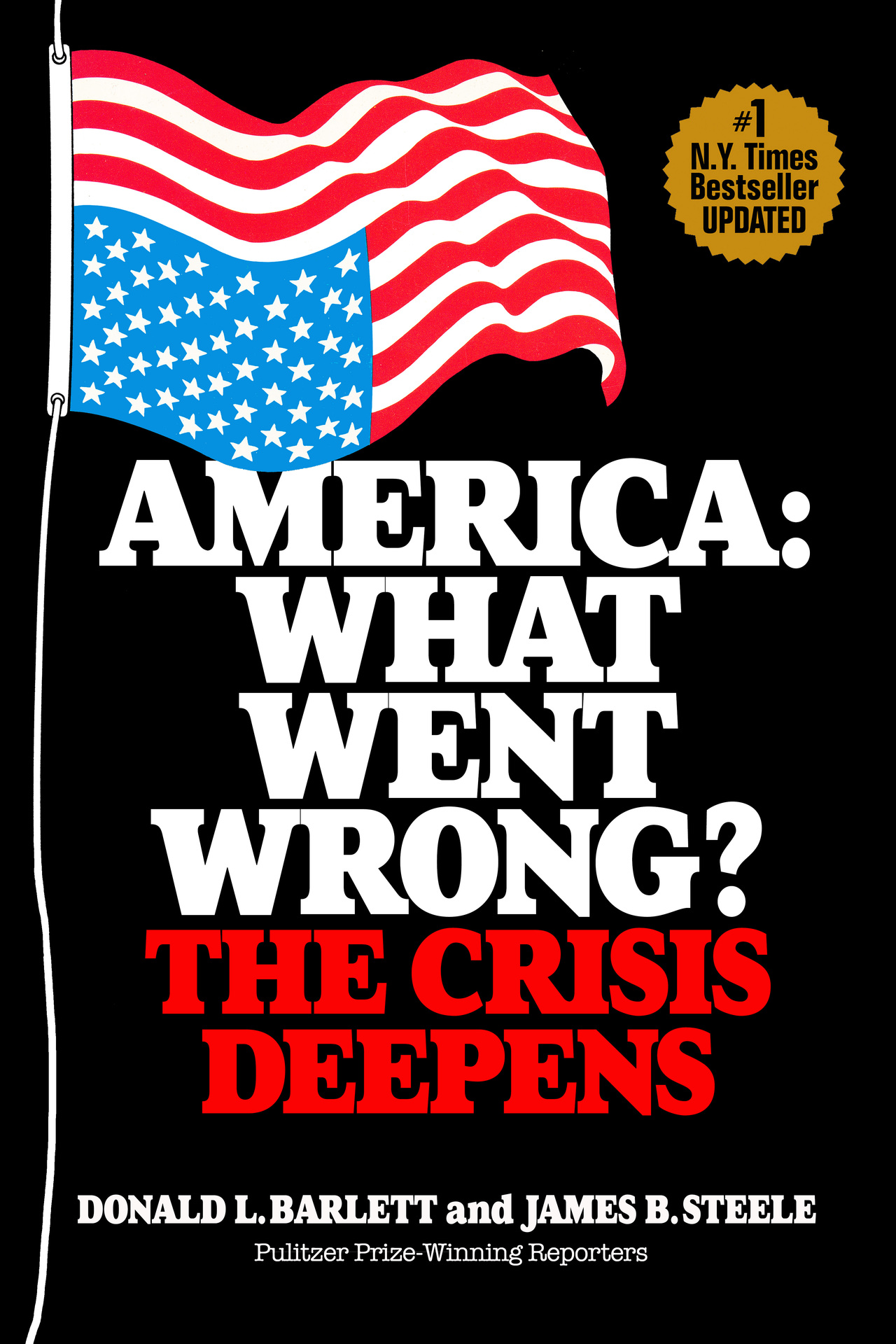 America: What Went Wrong?: The Crisis Deepens