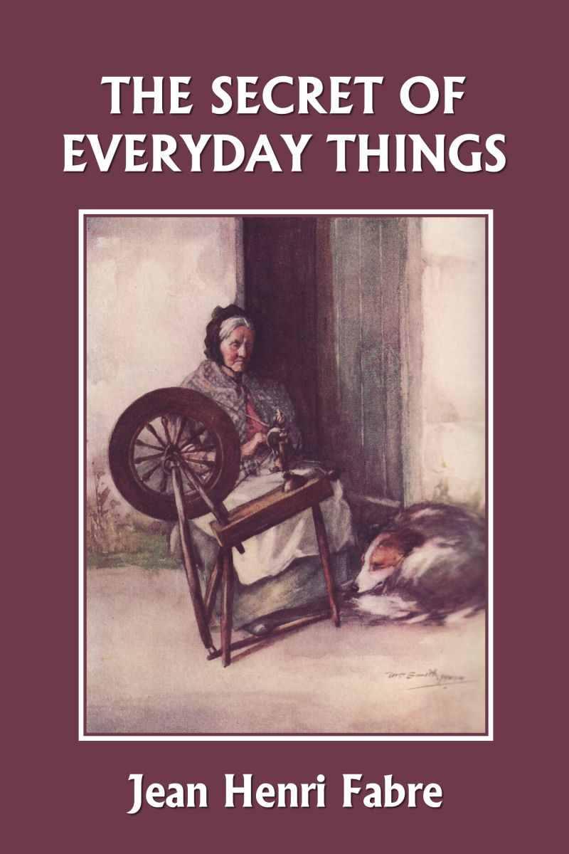 The Secret of Everyday Things