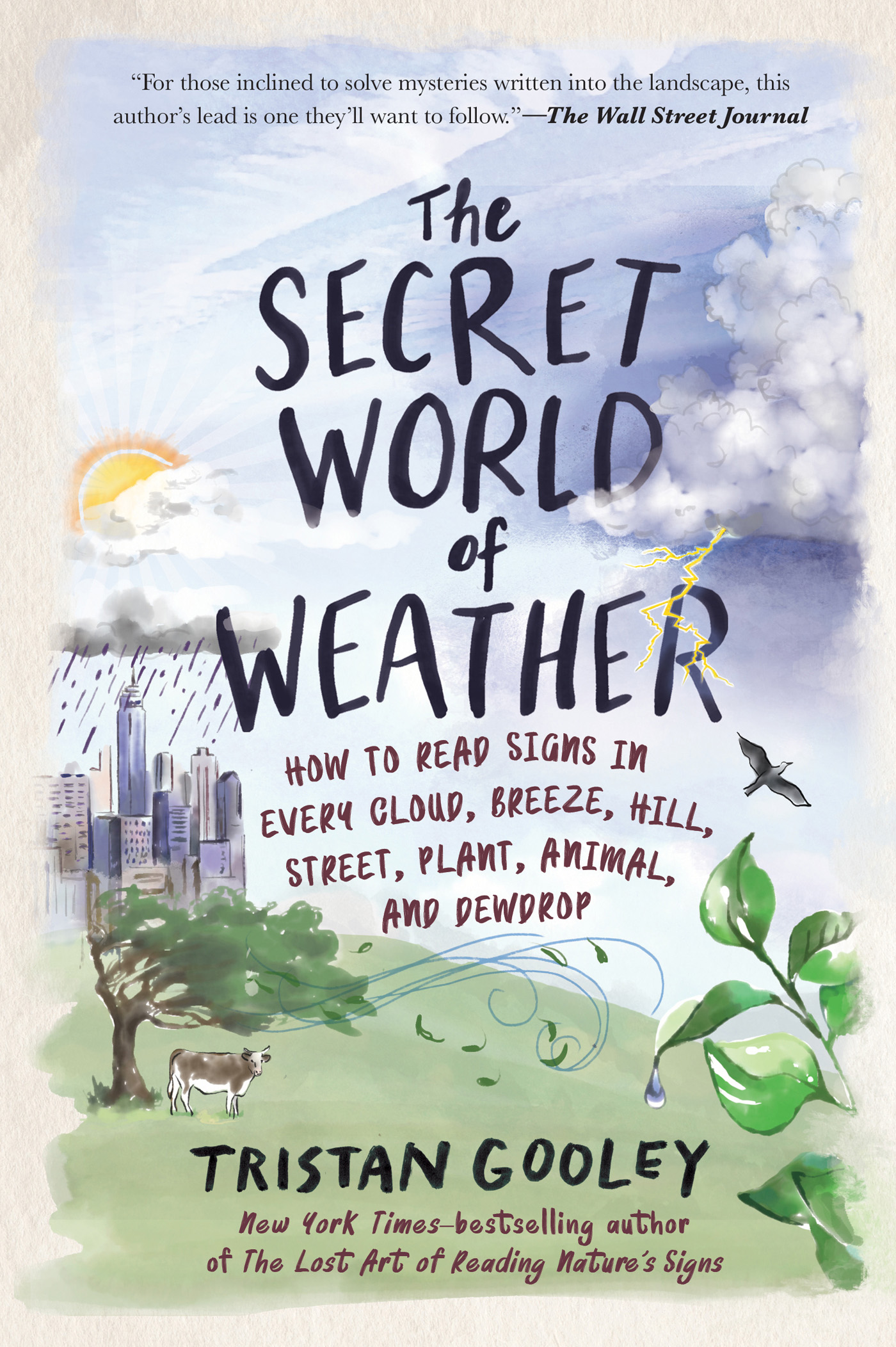 The Secret World of Weather: 'Makes You Look at Your Environment in a Different, More Poetic Way'