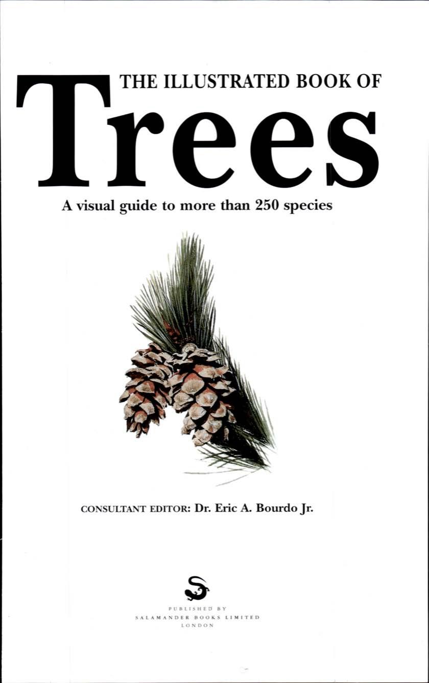 The Illustrated Book of Trees: A Visual Guide to More Than 250 Species