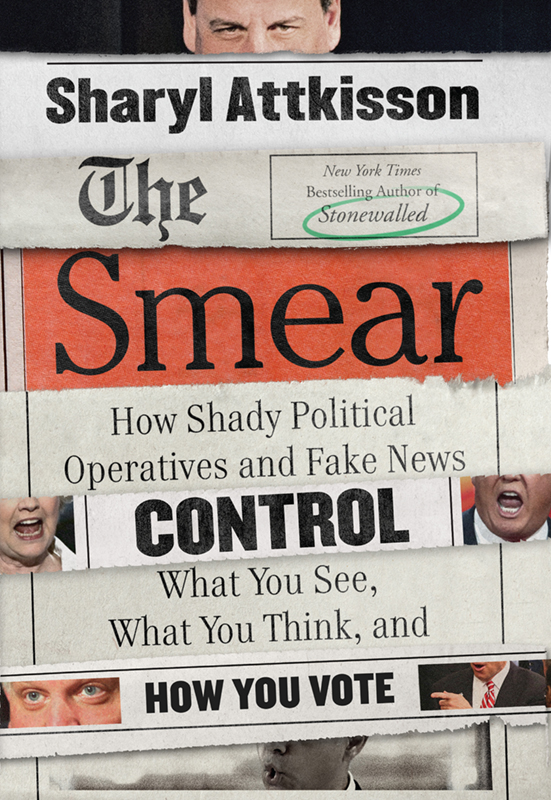 The Smear: How Shady Political Operatives and Fake News Control What You See, What You Think, and How You Vote