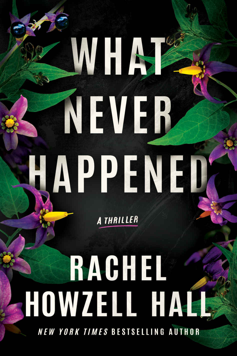 What Never Happened: A Thriller