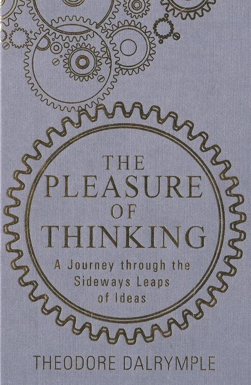 The Pleasure of Thinking