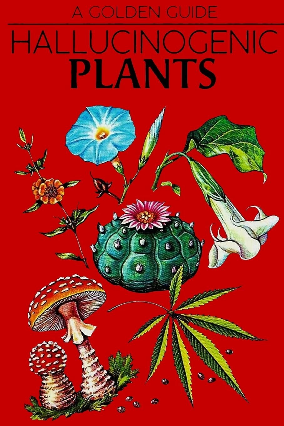 Hallucinogenic Plants: A Golden Guide