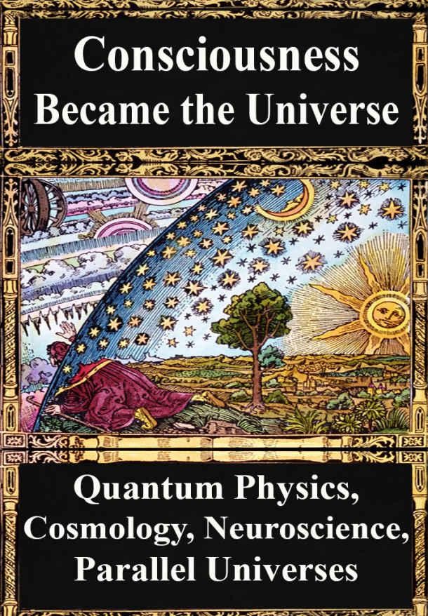 How Consciousness Became the Universe:: Quantum Physics, Cosmology, Relativity, Evolution, Neuroscience, Parallel Universes