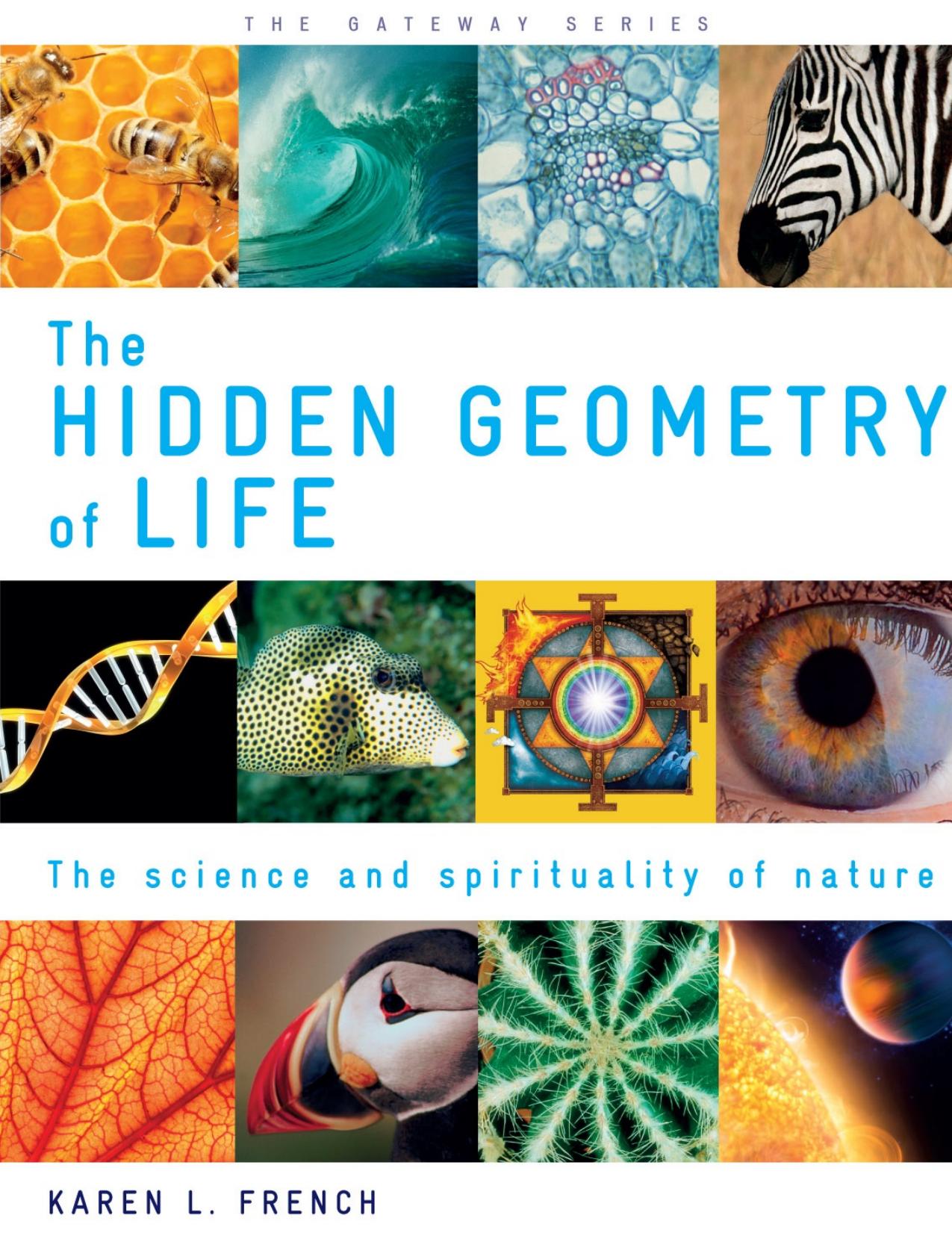 The Hidden Geometry of Life: The Science and Spirituality of Nature