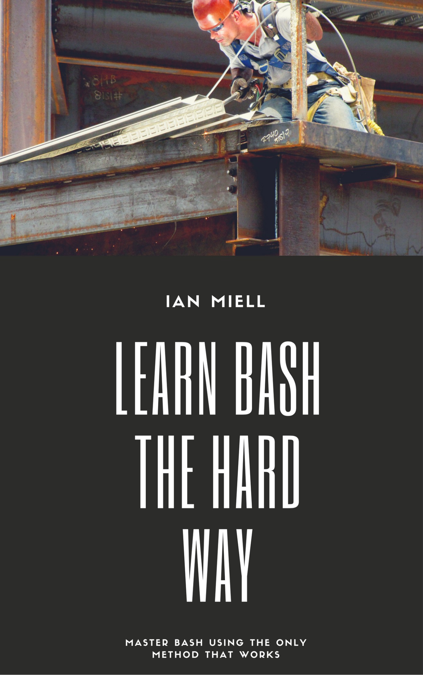 Learn Bash the Hard Way