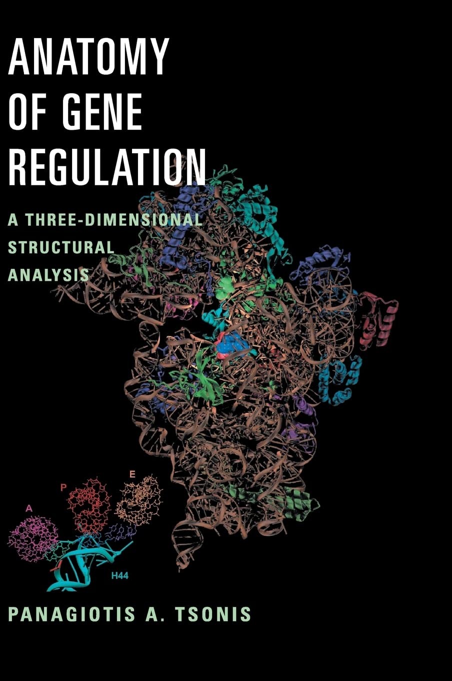 Anatomy of Gene Regulation: A Three-Dimensional Structural Analysis
