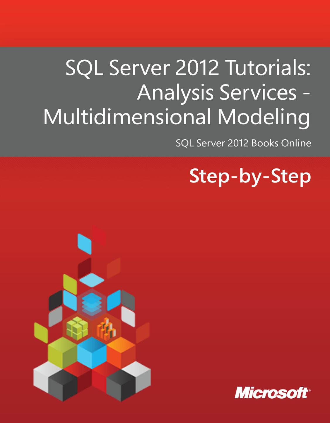 Analysis Services Multidimensional Modeling - Step-by-Step