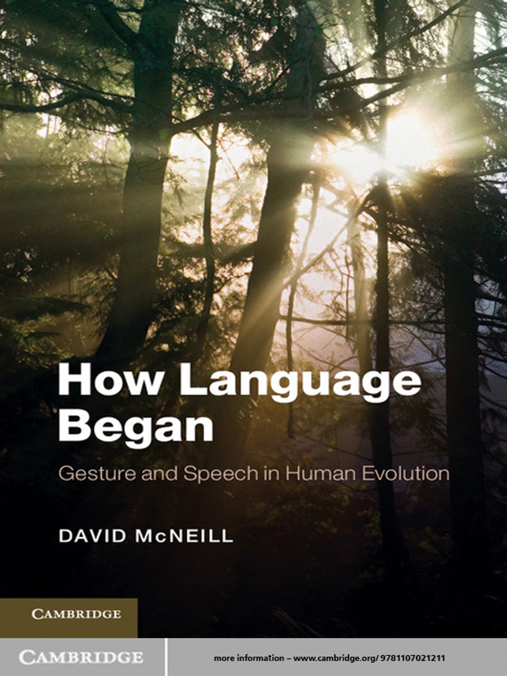 How Language Began: Gesture and Speech in Human Evolution