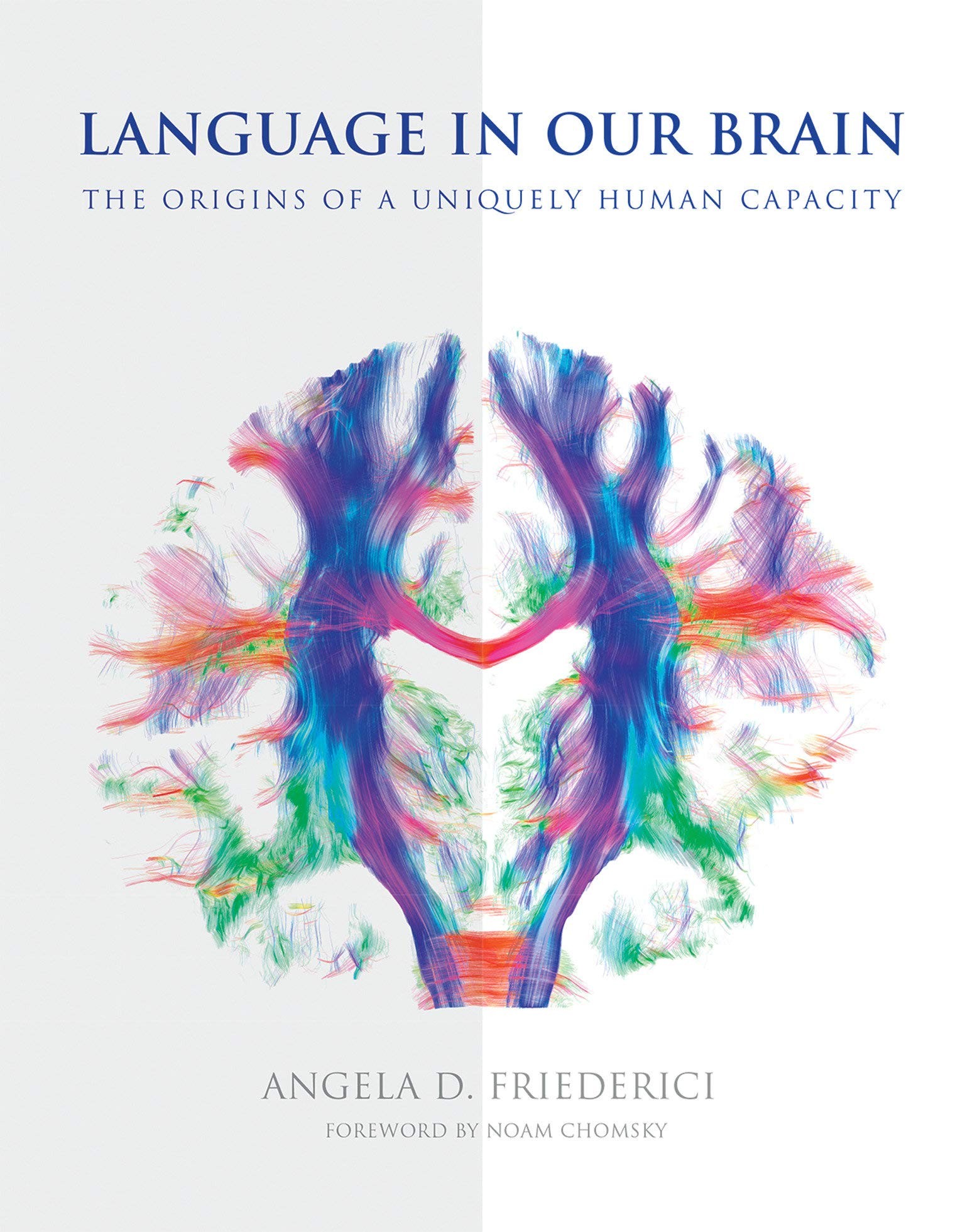 Language in Our Brain: The Origins of a Uniquely Human Capacity