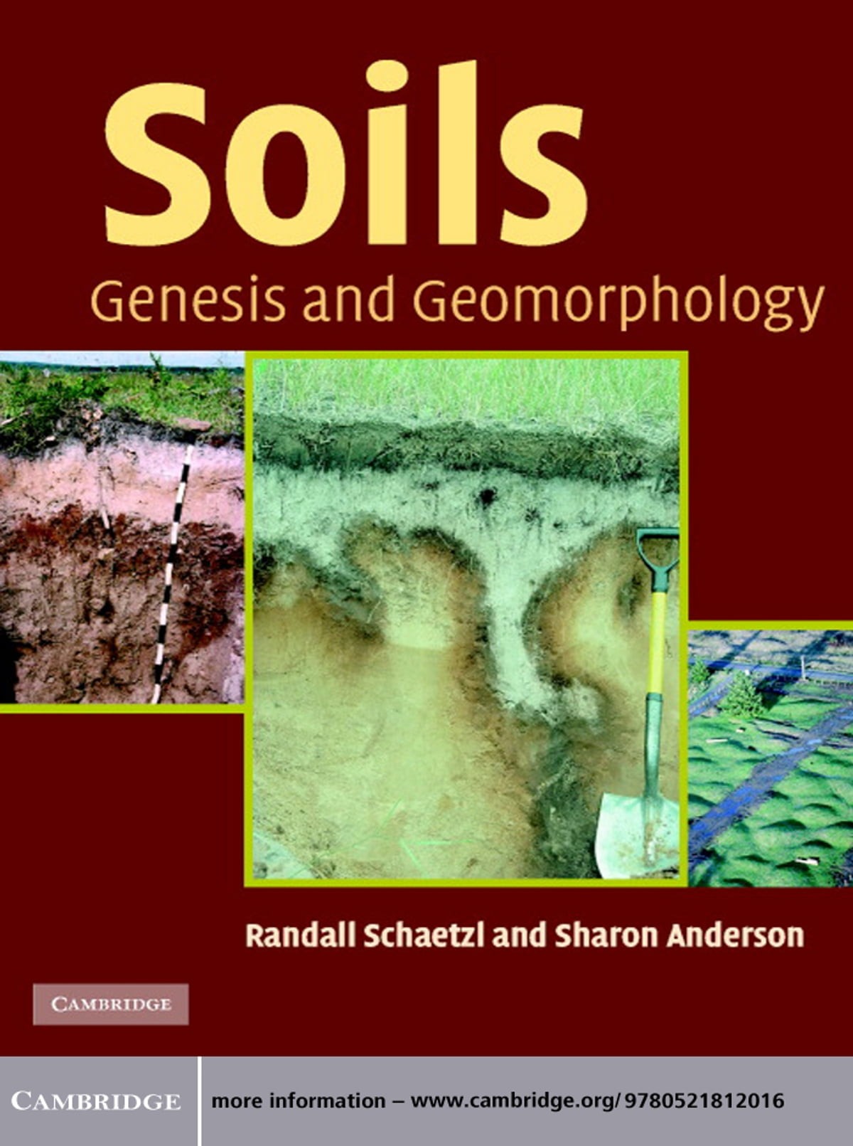 Soils: Genesis and Geomorphology