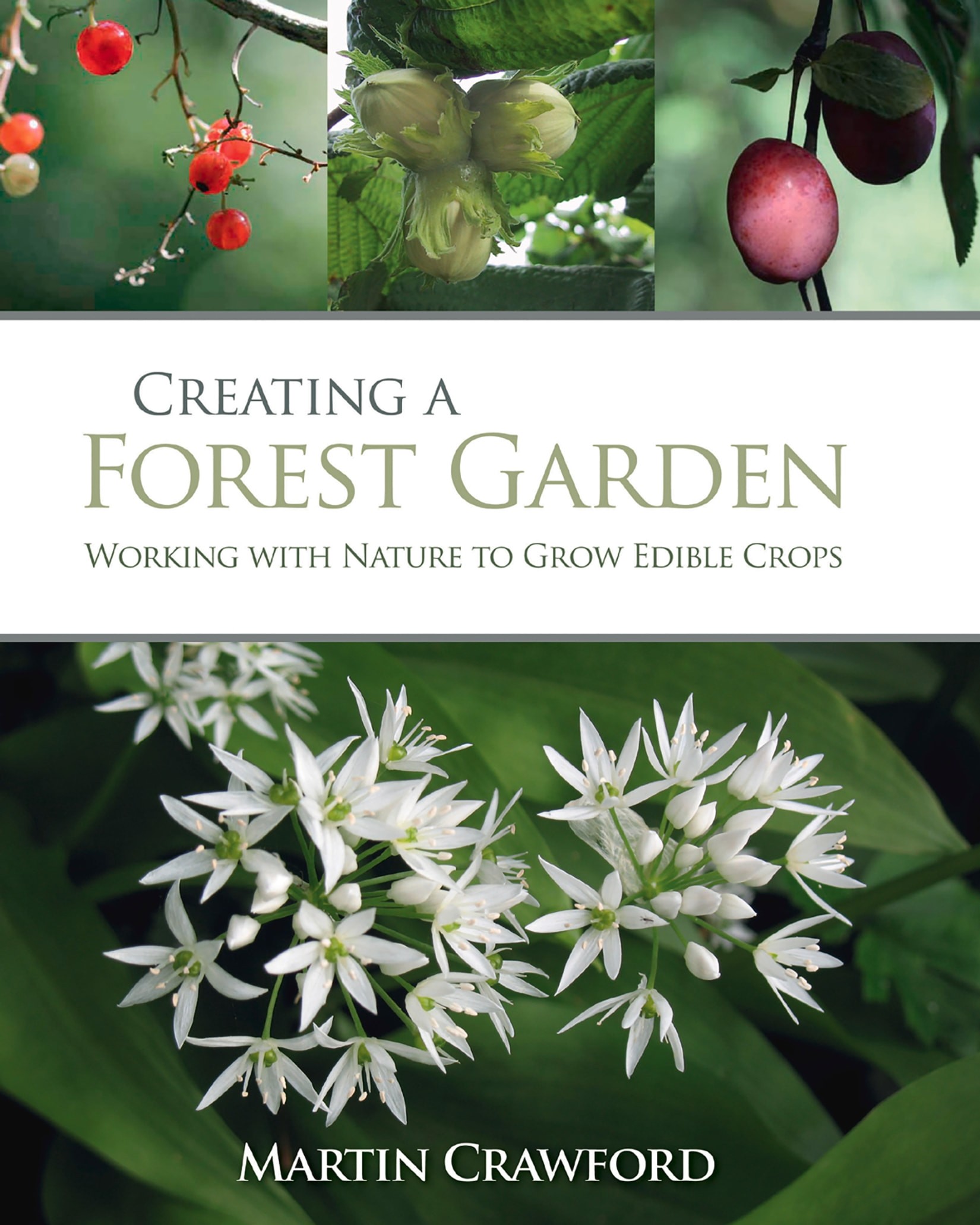 Creating a Forest Garden: Working with Nature to Grow Edible Crops