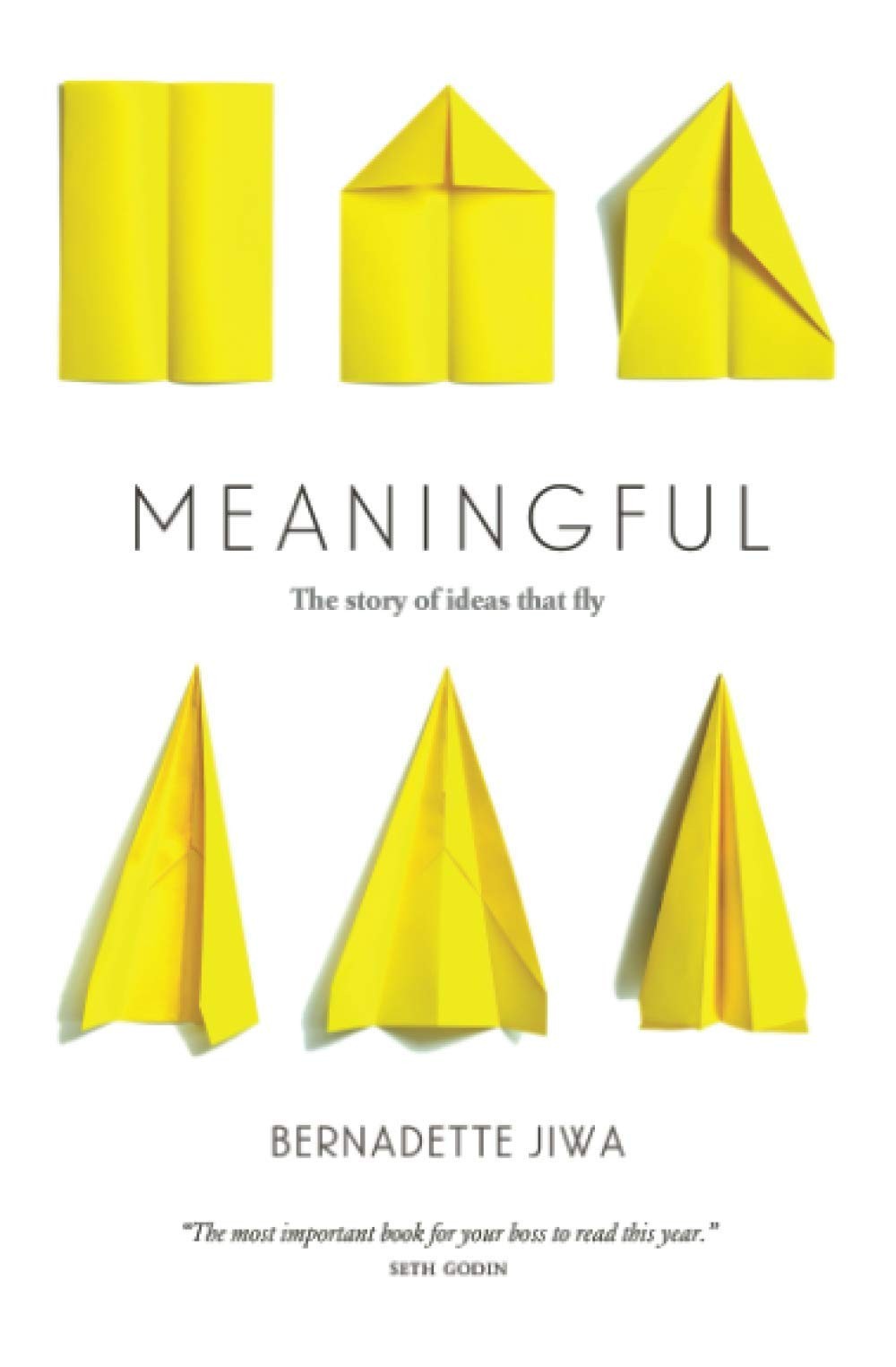 Meaningful: The Story of Ideas That Fly