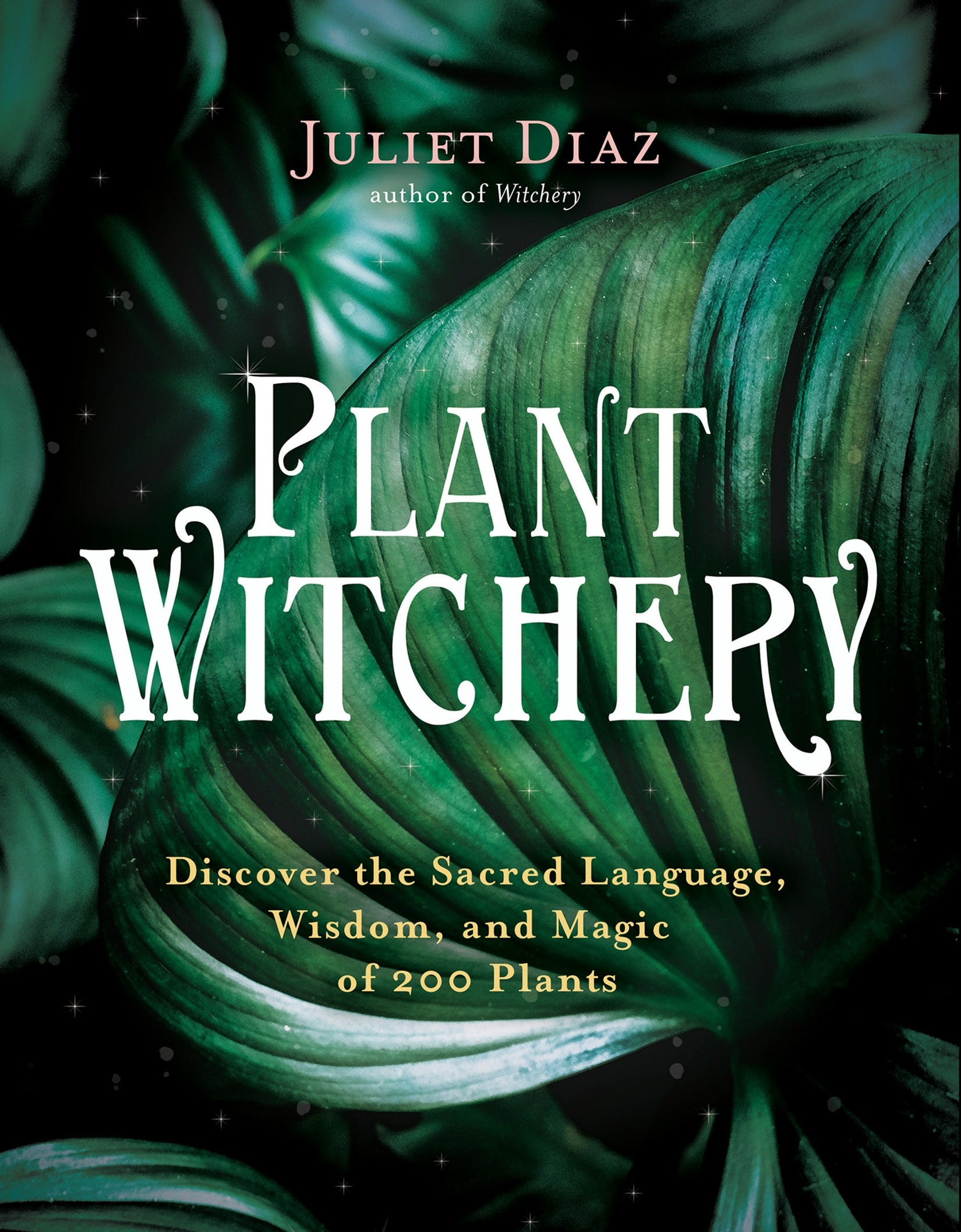 Plant Witchery