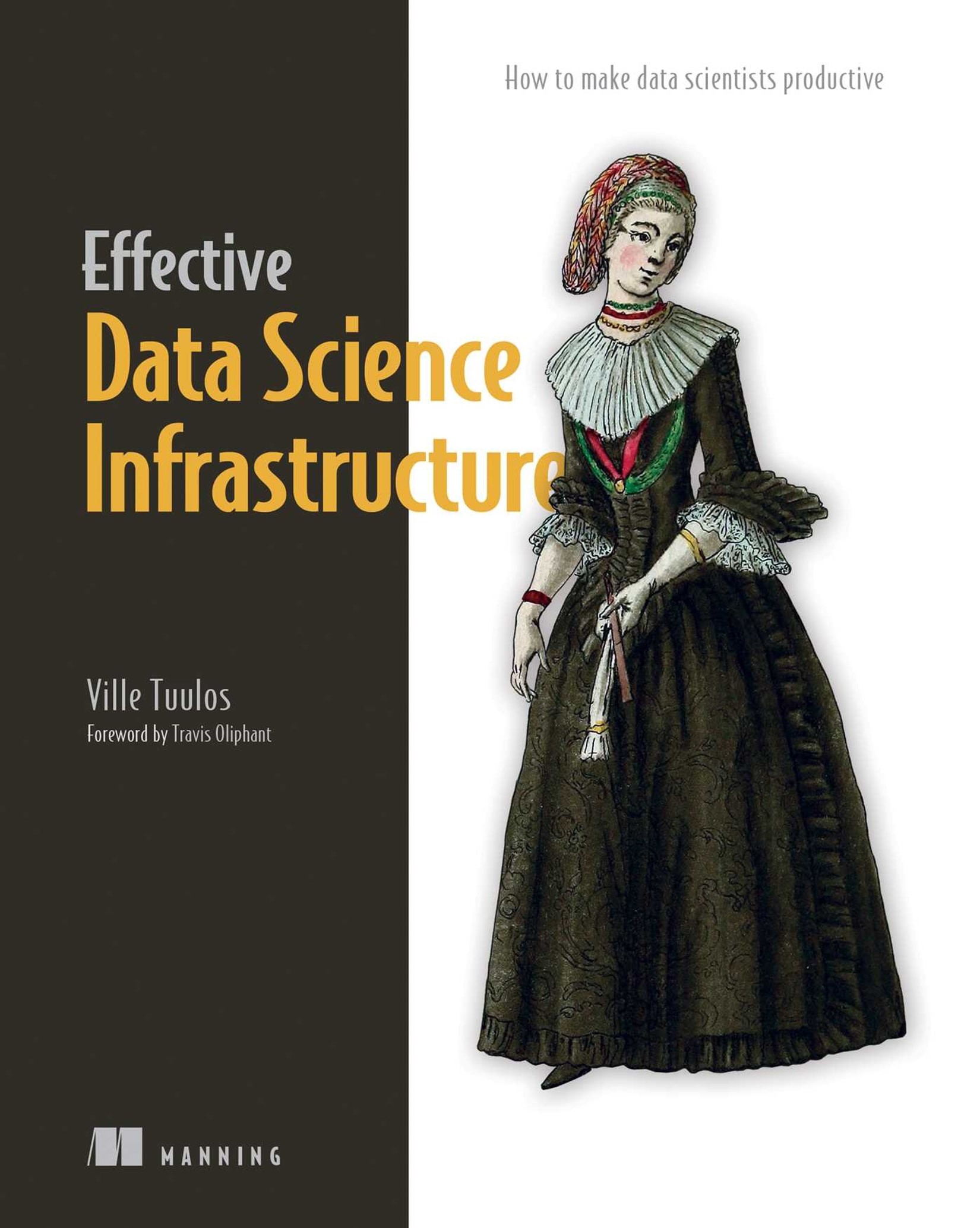 Effective Data Science Infrastructure: How to Make Data Scientists Productive