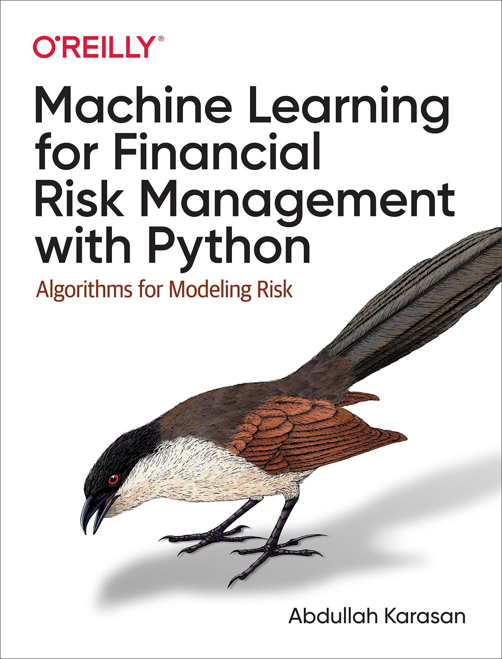 Machine Learning for Financial Risk Management With Python: Algorithms for Modeling Risk