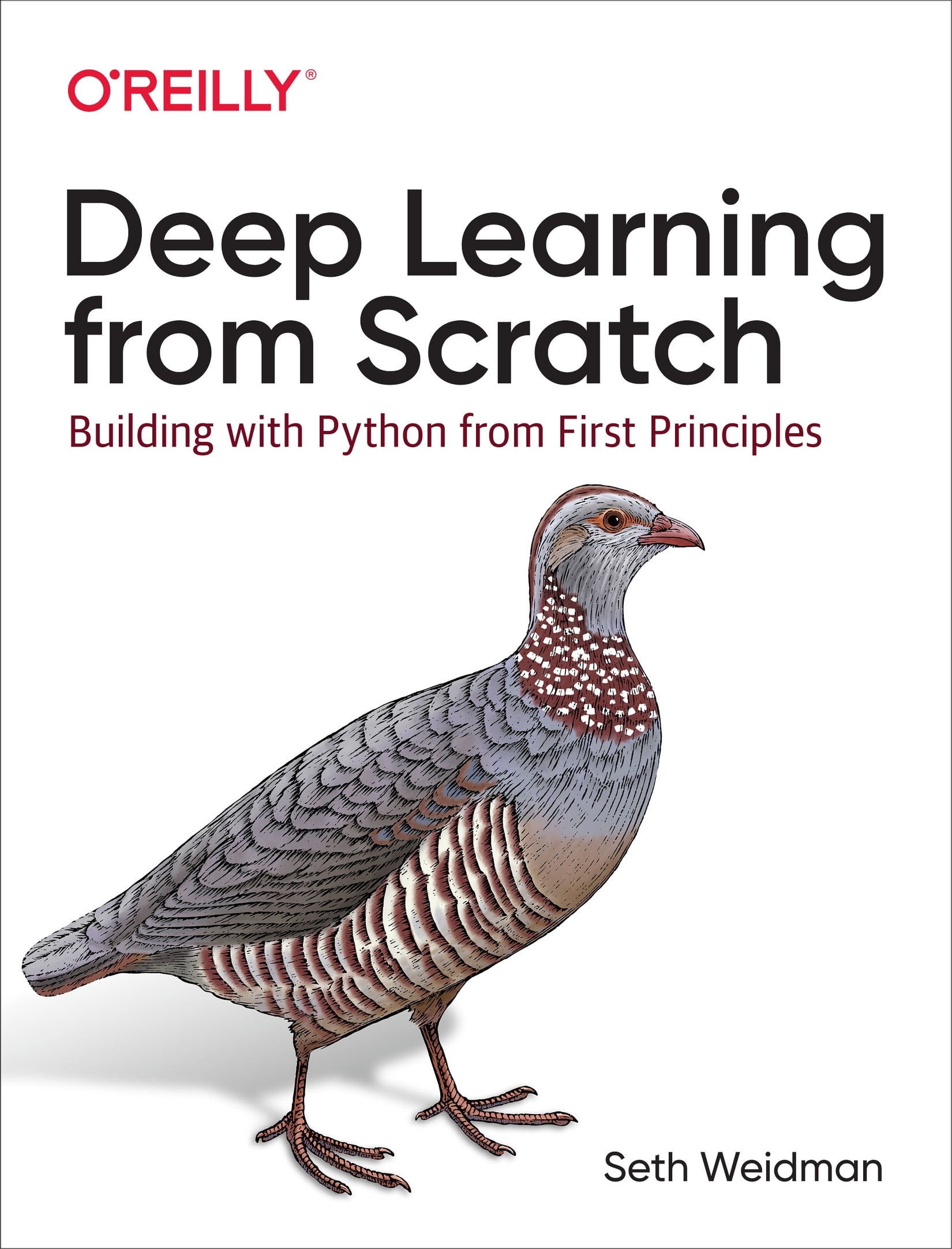 Deep Learning From Scratch: Building With Python From First Principles