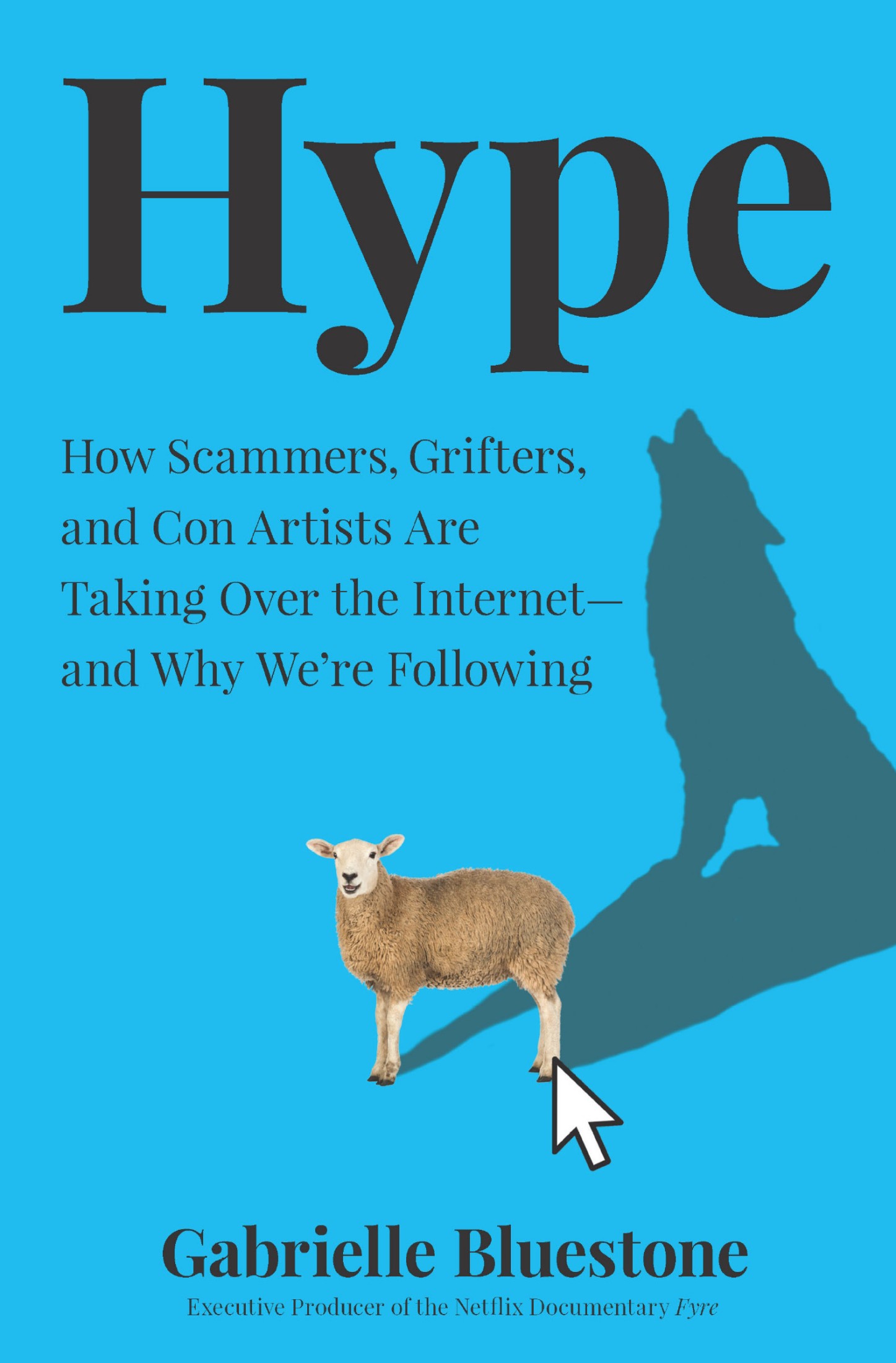 Hype: How Scammers, Grifters, Con Artists and Influencers Are Taking Over the Internet - and Why We're Following