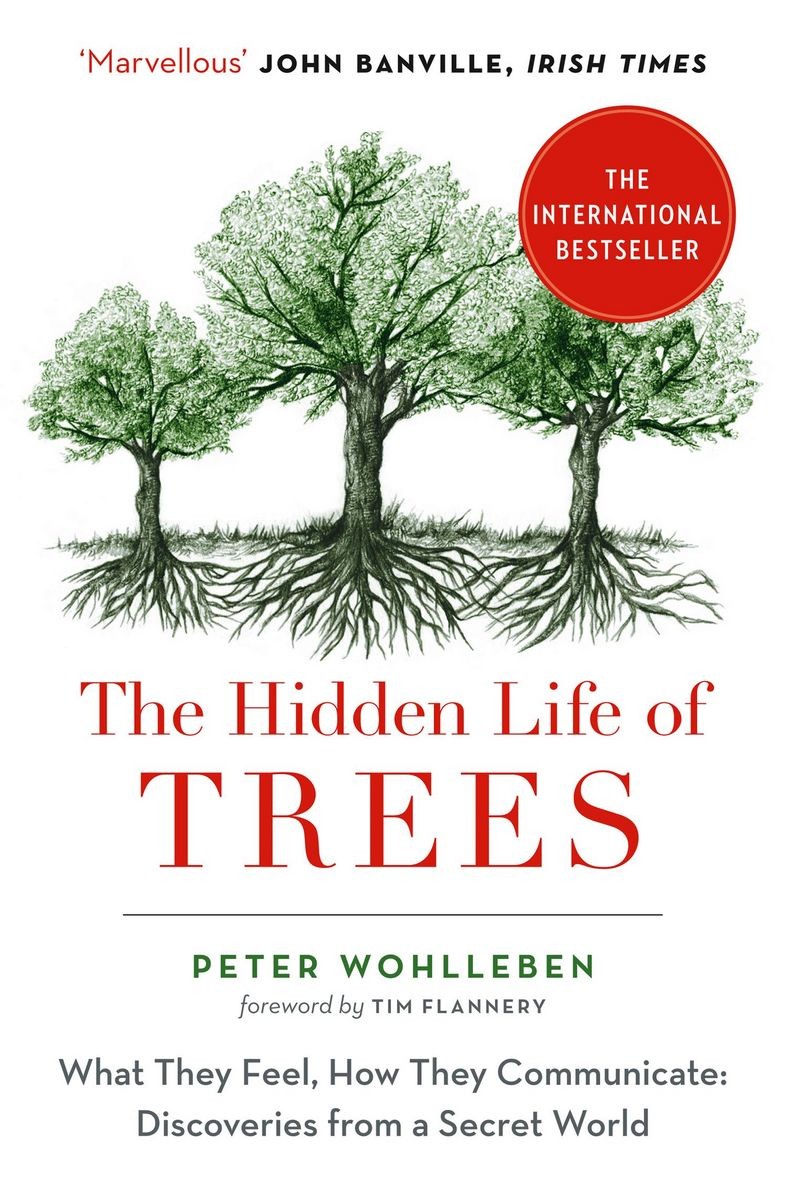 The Hidden Life of Trees: What They Feel, How They Communicate—Discoveries From a Secret World