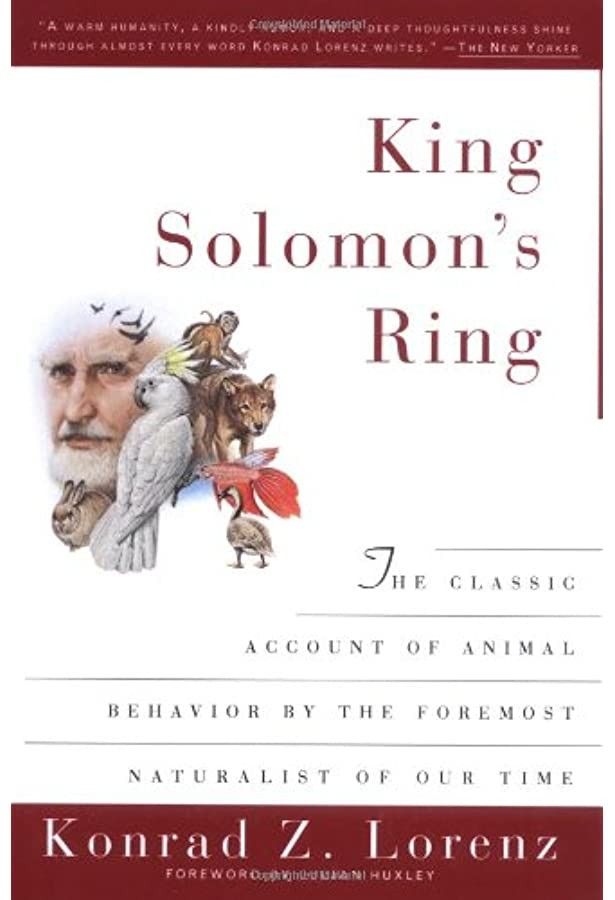 King Solomon's Ring