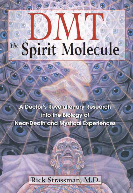 DMT: The Spirit Molecule: A Doctor's Revolutionary Research into the Biology of Near-Death and Mystical Experiences