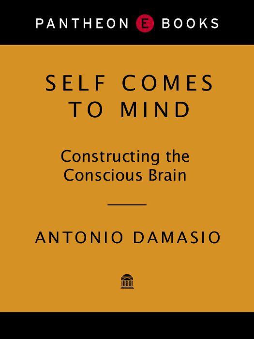 Self Comes to Mind: Constructing the Conscious Brain