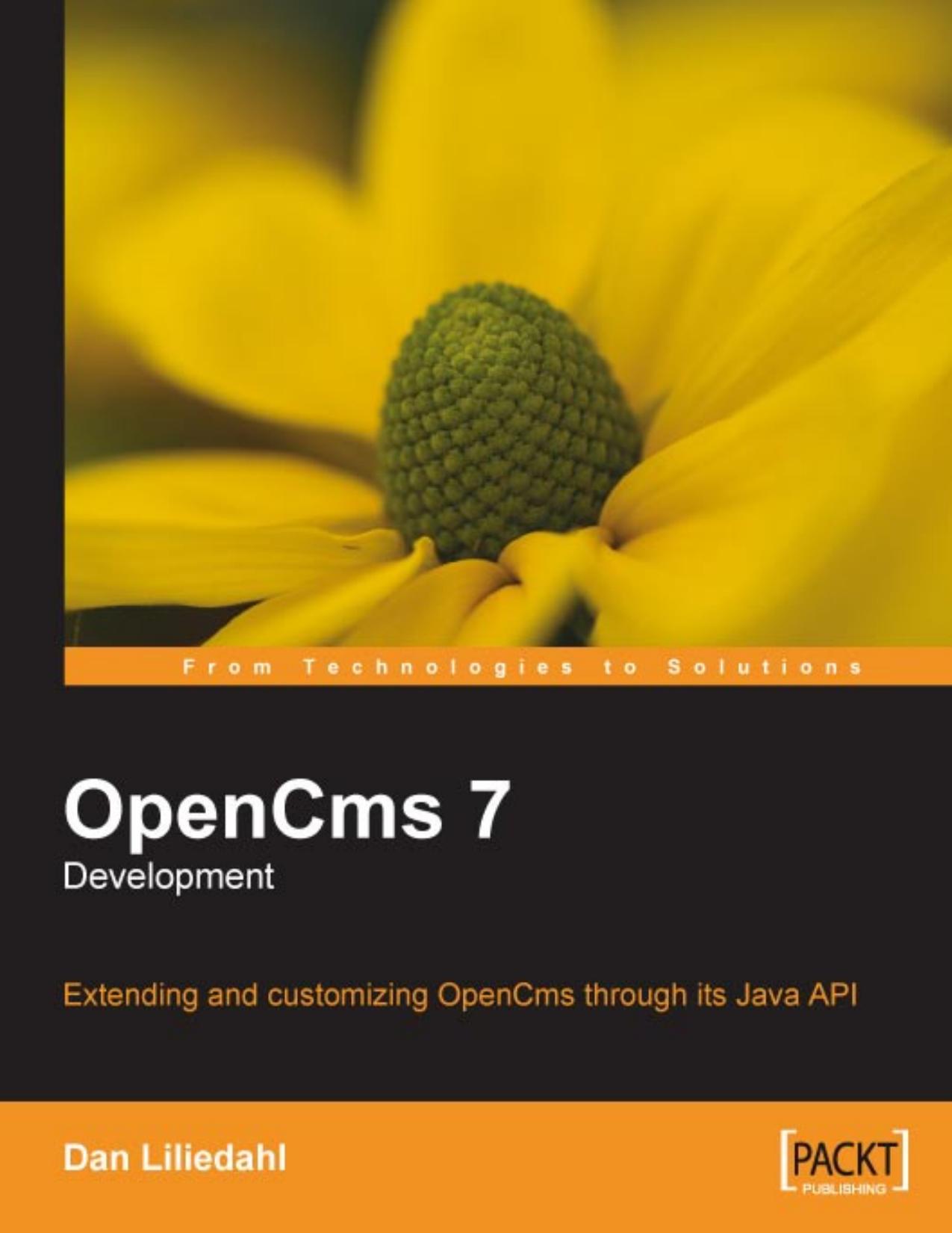 OpenCms 7 Development