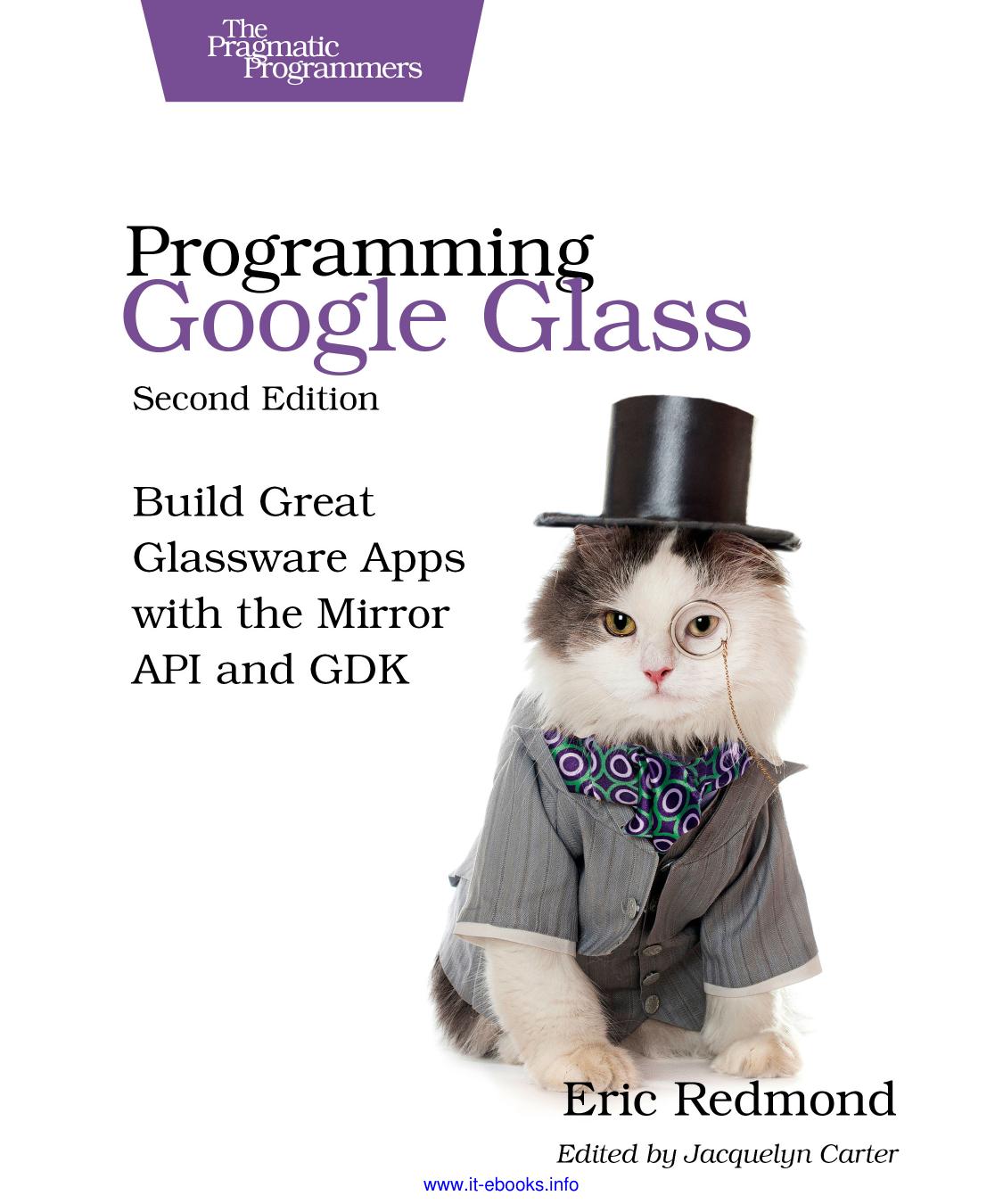 Programming Google Glass